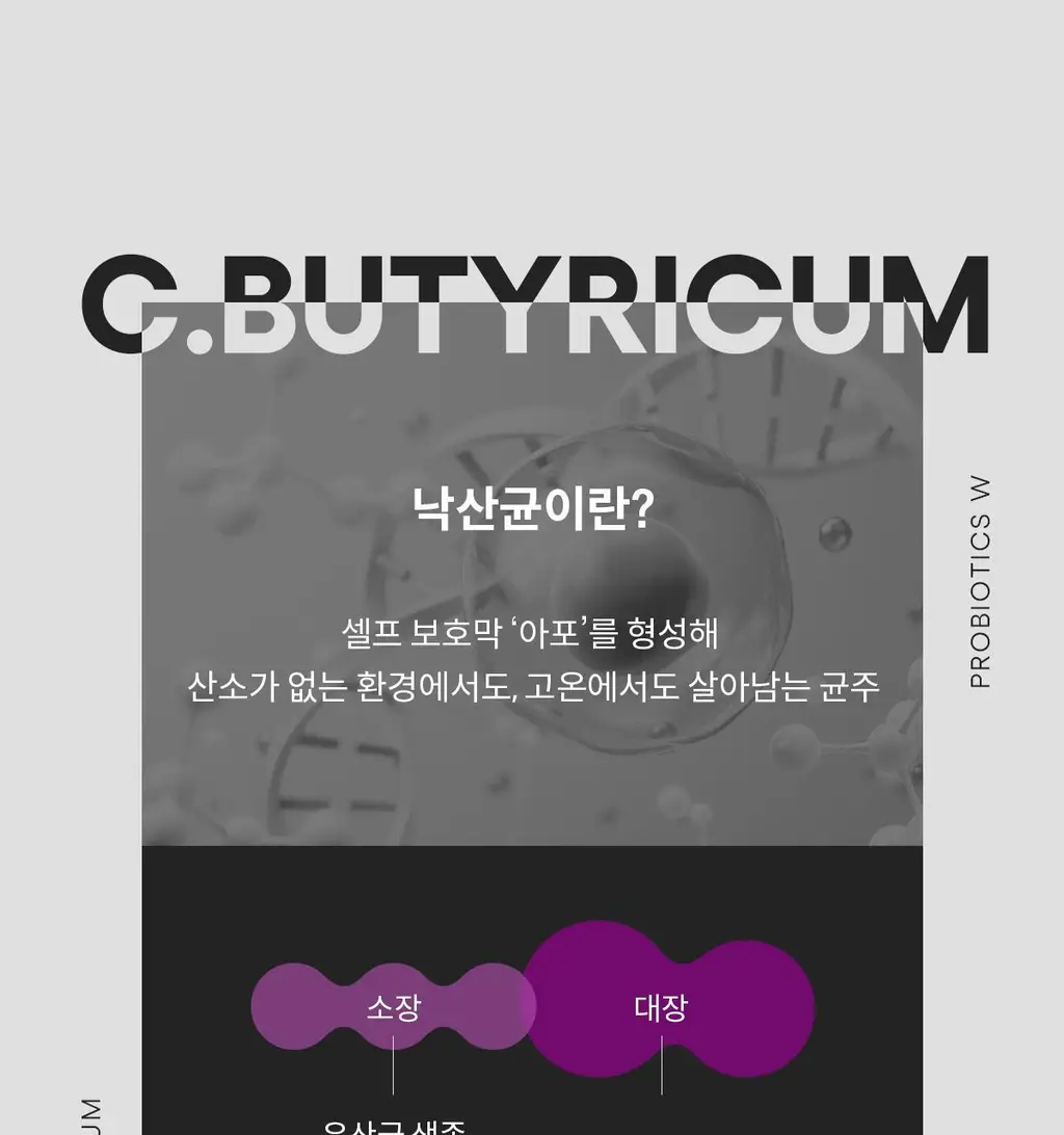 [여성 질 유산균] 위아바임 낙산균 프로바이오틱스 더블유 30포 (30일분) 상세페이지 12